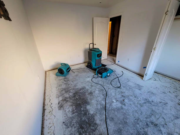 Best Flooded house restoration  in Harrison, WI