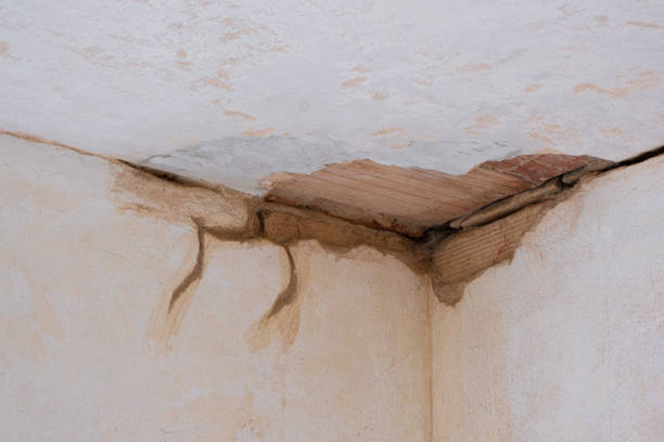 Best Carpet water damage restoration  in Harrison, WI