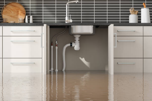 Best Flood damage cleanup  in Harrison, WI