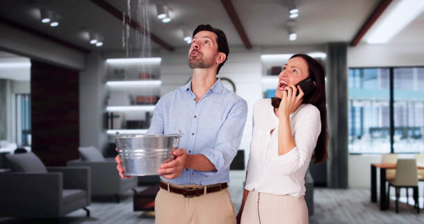 Best Water damage contractors near me  in Harrison, WI