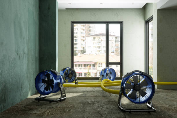 Best Carpet water damage restoration  in Harrison, WI