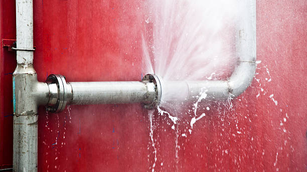 Best Water damage restoration near me  in Harrison, WI
